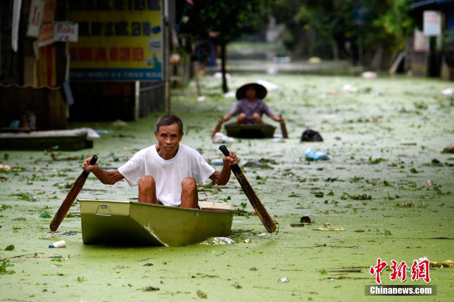 2024今晚开特马开什么号，祖国颂,心中永恒的赞美歌