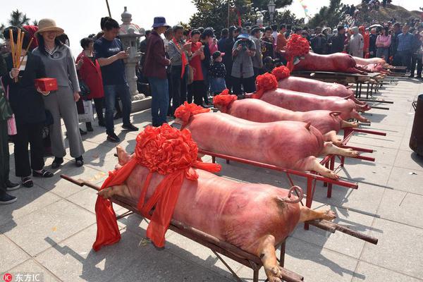 正版免费资料大全管家婆，黄晓明自述成长经历，引发网友热议